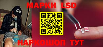 ПСИЛОЦИБИНОВЫЕ ГРИБЫ Новозыбков