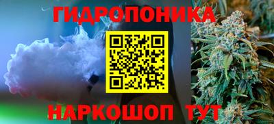 ПСИЛОЦИБИНОВЫЕ ГРИБЫ Новозыбков