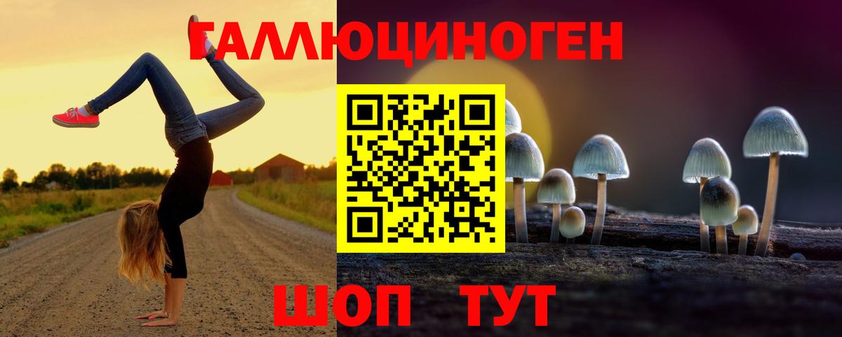 Псилоцибиновые грибы GOLDEN TEACHER Северобайкальск
